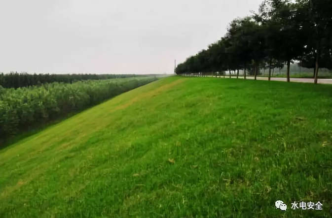 1556157023195364.png 圖片.png